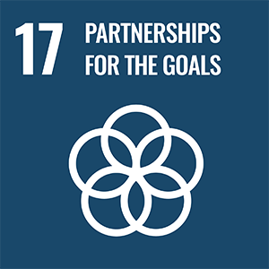 17 PARTNERSHIPS FOR THE GOALS