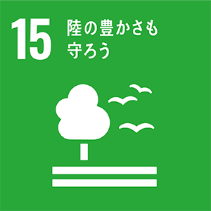 15 平和と公正を全ての人に